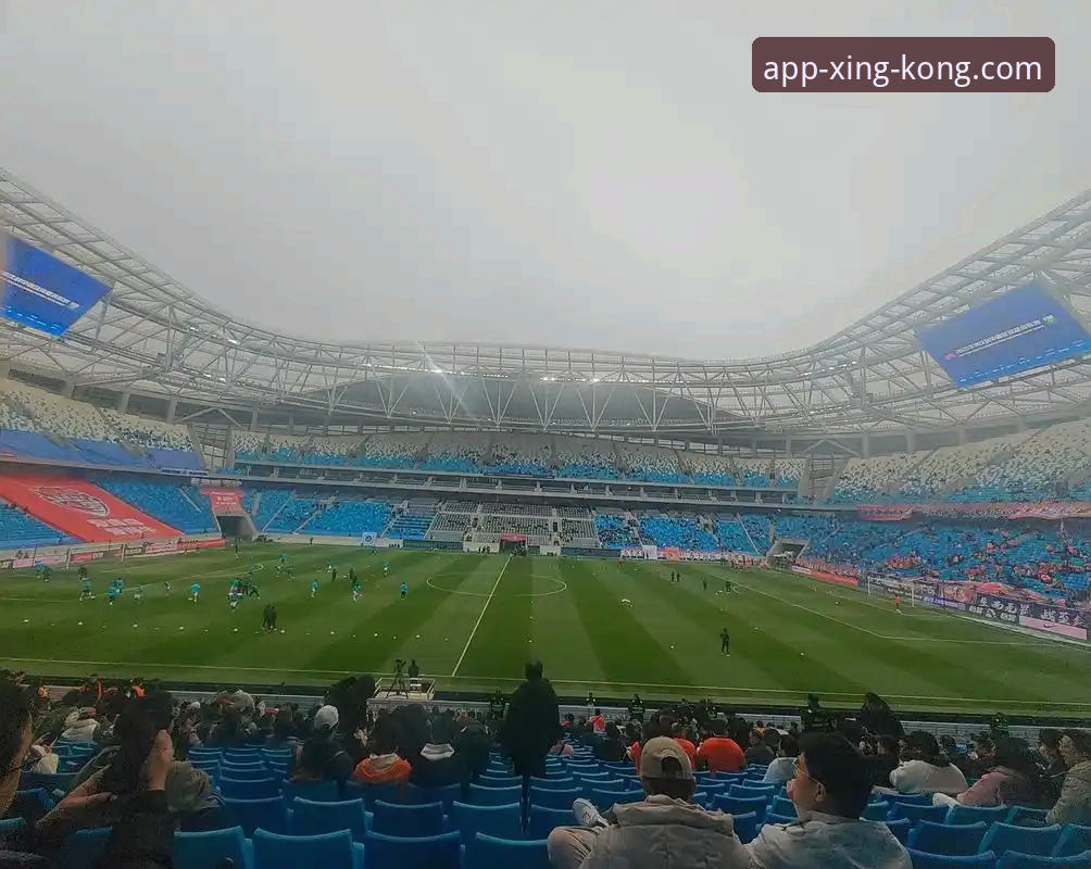 青岛海牛3-1上海海港：星空体育官网观赛体验与赛事深度分析